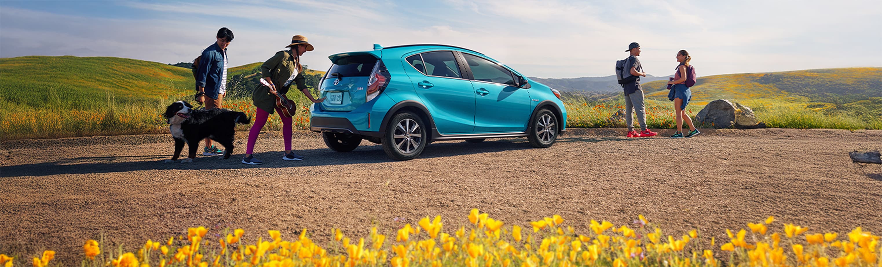 Spring Campaign Banner 2025